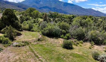Tract 13 Luis O Torres Rd, Arroyo Seco, NM 87514