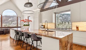 1011 Ute Ave, Aspen, CO 81611