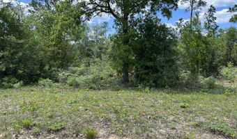 Lot 6 Cleveland Drive, Alford, FL 32420