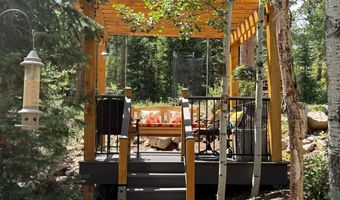 124 Ski Rd, Allenspark, CO 80510