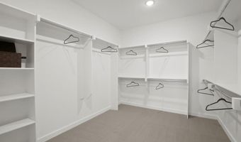 949 Switchgrass Ln, Allen, TX 75013