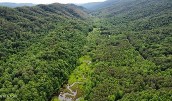 Steve Brown Road, Bean Station, TN 37708