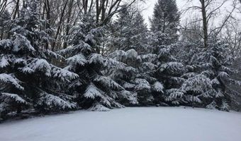 3447 River Pines Dr, Ann Arbor, MI 48103