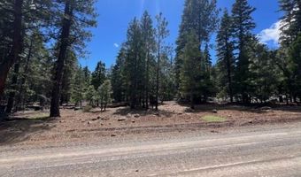 Reno Rd, Alturas, CA 96101