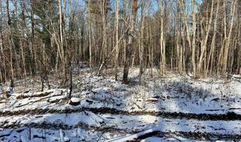 002 Duck Pond Rd Lot #2, Barton, VT 05822