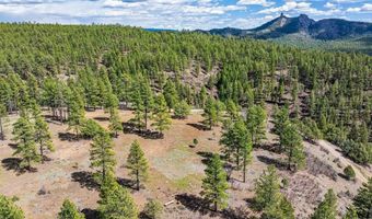 20861 Hwy 160, Bayfield, CO 81122