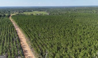 Penny Morris Road, Baxley, GA 31513