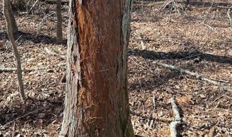 Cr 127, Abbeville, MS 38601