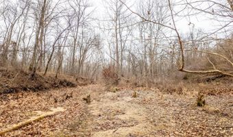 County Road 19-A, Alton, MO 65606