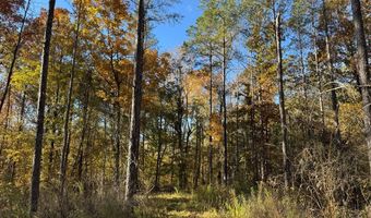 Hwy 9, Bruce, MS 38915