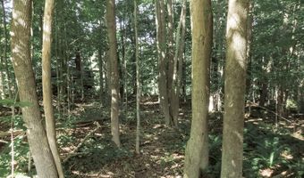 225 Waldo Ave, Belfast, ME 04915