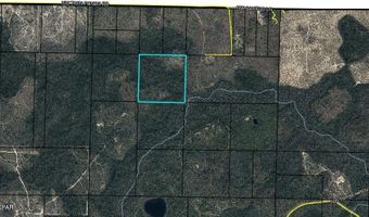 NW Camp Head Road, Altha, FL 32421