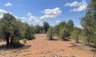4934 Elk Trail Rd, Clay Springs, AZ 85923