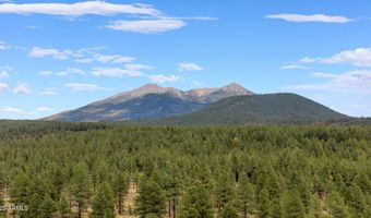 1 Village Camp Dr 164, Bellemont, AZ 86015