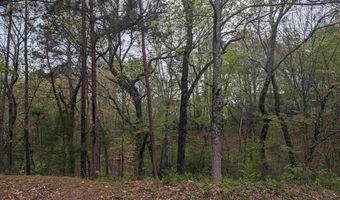 0 Lot 258 WINFREY Ln 258, Anniston, AL 36206