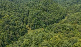 50 Hg Williams Dr, Bays, KY 41310
