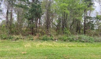 N/A Blue Springs, Bainbridge, GA 39819