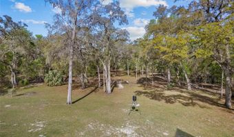 4250 NW 81ST Ln, Bell, FL 32619