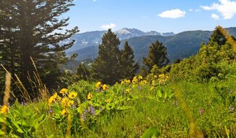 590 Middle Skunk Crk, Bozeman, MT 59715