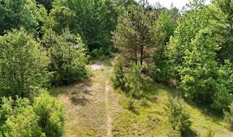 Beauty Hill Rd lot 3, Bethel Springs, TN 38315