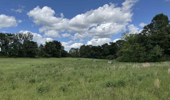Tract 10 Hwy 105 S, Atkins, AR 72823