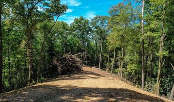 4 Black Rock Trl 4, Andrews, NC 28901