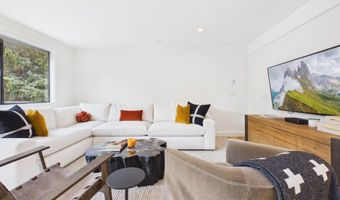 915 E Hopkins Ave 4, Aspen, CO 81611