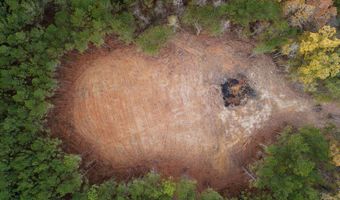 00002 Trickhambridge Rd, Brandon, MS 39042