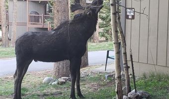 1127 SKI HILL Rd 94, Breckenridge, CO 80424