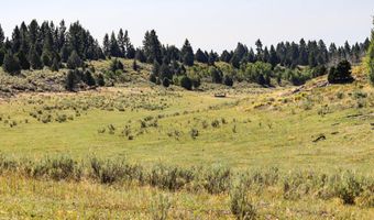 TBD Sadorus Hill Rd, Ashton, ID 83420