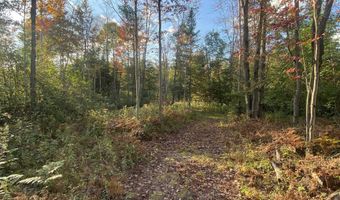 V/L S M-33, Alger, MI 48610