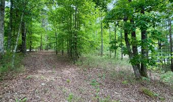 767 BENDABOUT Ln, Arley, AL 35541