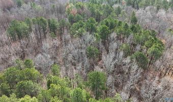 002 Toney Dr, Altoona, AL 35952