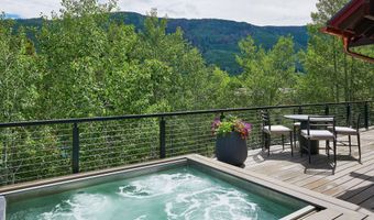 1271 Ute Ave, Aspen, CO 81611