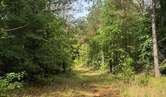 759 HWY 9, Banner, MS 38913