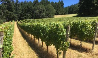 7820 SE Amity Rd, Amity, OR 97101