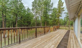 41 Susan Ln, Angel Fire, NM 87710