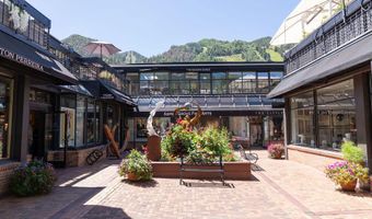 525 E Cooper Ave 205, Aspen, CO 81611