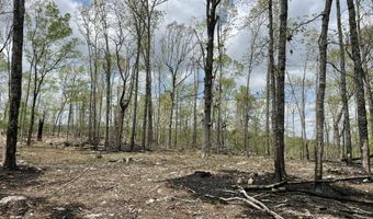 State Hwy N Tract G, Ava, MO 65608