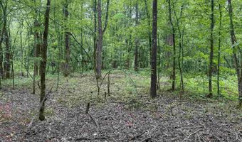 0 CR 3216, De Kalb, TX 75559