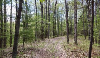 5826 S Morrison Rd, Alger, MI 48610