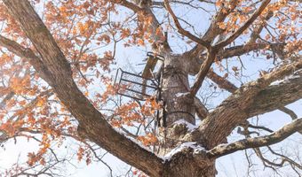 189 Th St, Albia, IA 52531