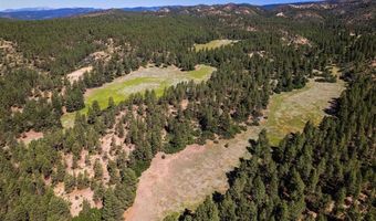 1005 46781 Beaver Creek Ranch Drive & US Highway 160, Bayfield, CO 81122