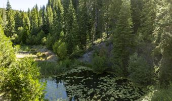 Hungry Ridge, Ashland, OR 97520