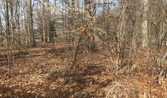 Devon Way Road, Baneberry, TN 37890