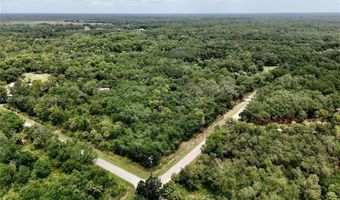 2963 SW Armadillo Trl, Arcadia, FL 34266