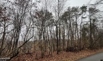 Mountain View Lane Lot # 1100, Baneberry, TN 37890
