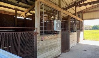 19726 MCCALL Rd, Altoona, FL 32702