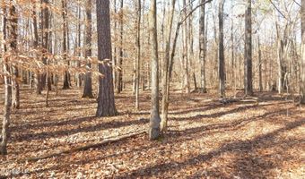 590 247 Country Rd, Bruce, MS 38915