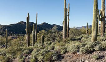5949 E Hidden Valley Dr 9, Cave Creek, AZ 85331